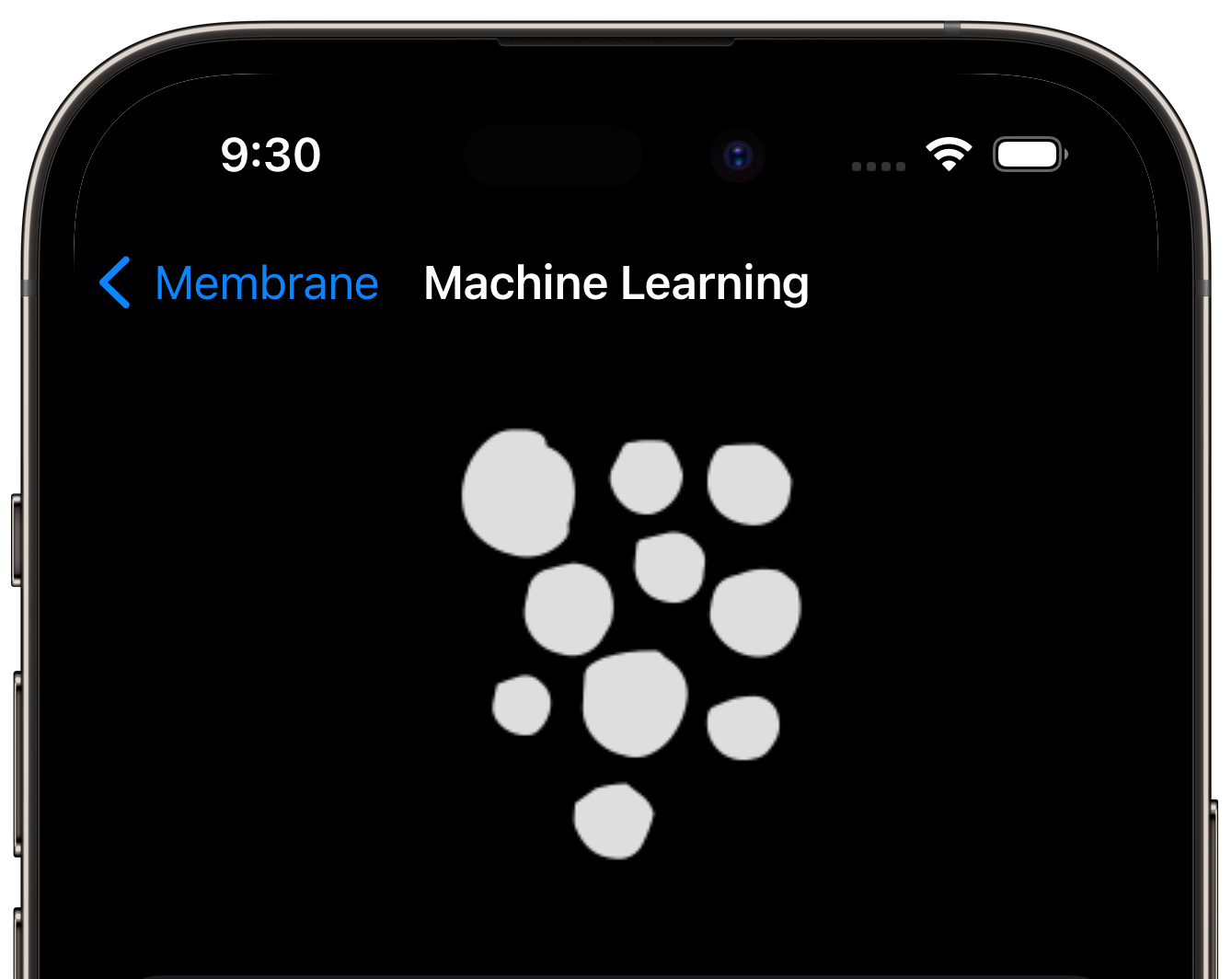 Membrane running on iPhone 14 Pro, showing the machine learning section.